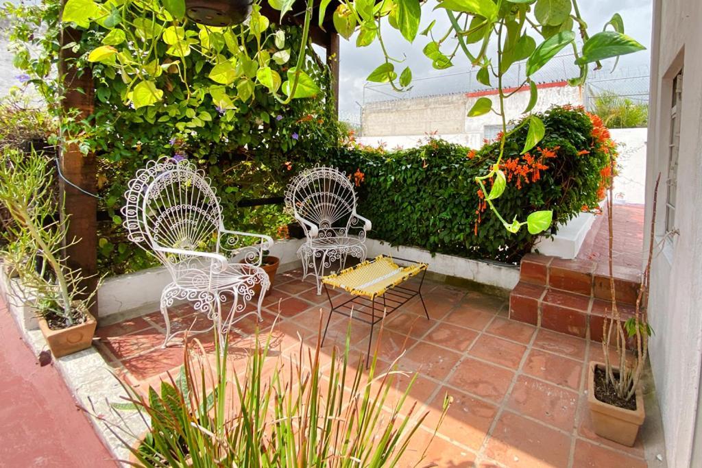 Casa Canario Hostel Guadalajara Buitenkant foto