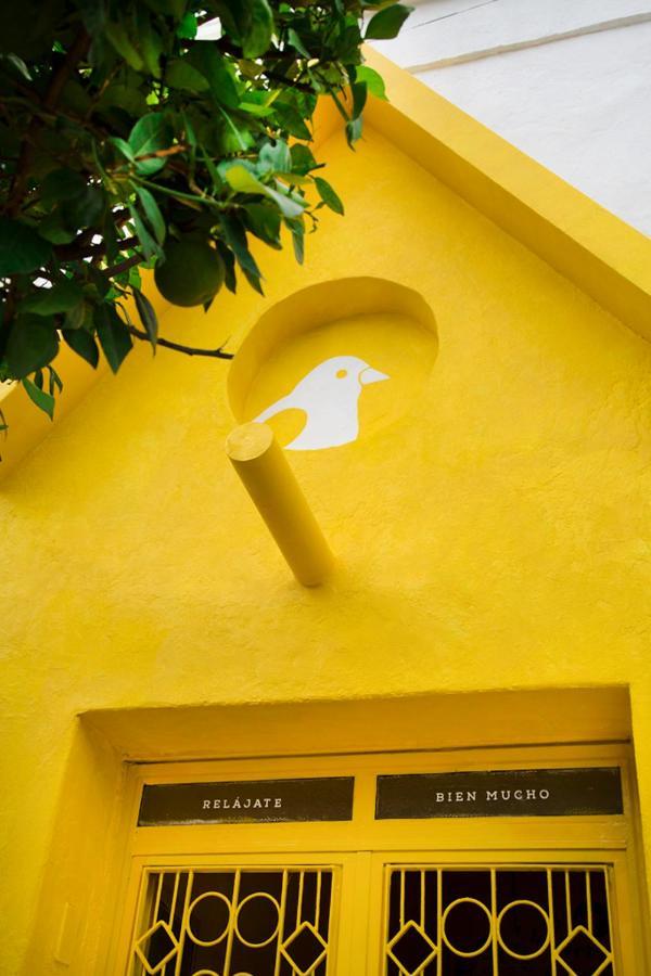 Casa Canario Hostel Guadalajara Buitenkant foto