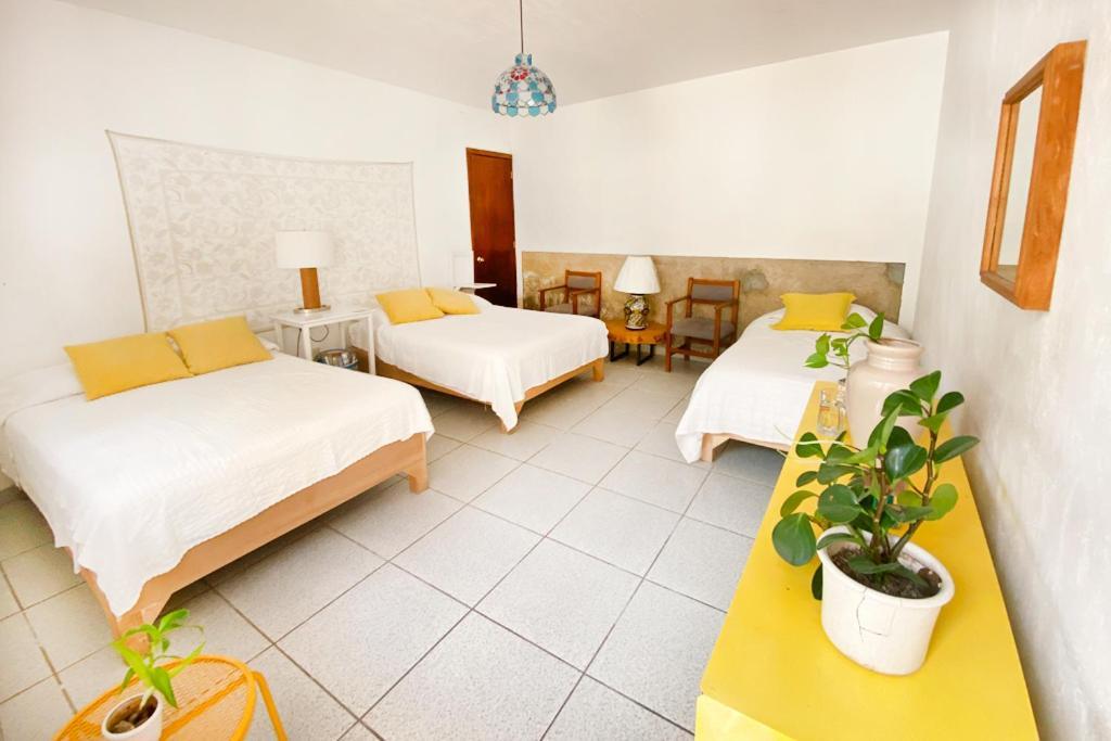Casa Canario Hostel Guadalajara Buitenkant foto